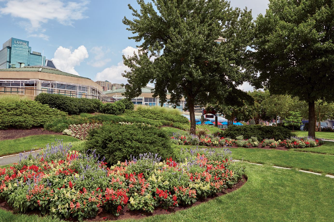Washington, DC Commercial Landscape Services Company BrightView